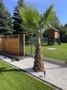 Firma Ogrodnicza PanTrawa - zakładanie ogrodu w Maszycach k. Krakowa 21
