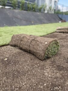 Firma ogrodnicza PanTrawa - zakładanie trawnika z automatycznym systemem nawadniania1