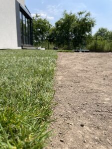 Kompleksowe założenie ogrodu w Krakowie przez firmę PanTrawa1