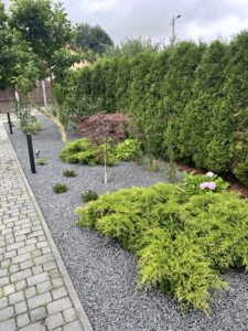 Renowacja starego ogrodu - Twój ogrodnik PanTrawa 11