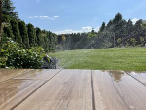 Renowacja starego ogrodu - Twój ogrodnik PanTrawa 7