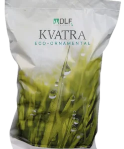 Mieszanka traw odporna na suszę KVATRA ECO ORNAMENTAL 10 kg