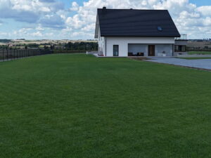 Realizacja PanTrawa-Minoga4