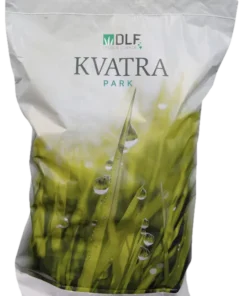 Trawa odporna na suszę KVATRA PARK 10 kg - idealna na osiedla i tereny bez nawodnienia